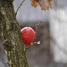 _DSC6119.JPG