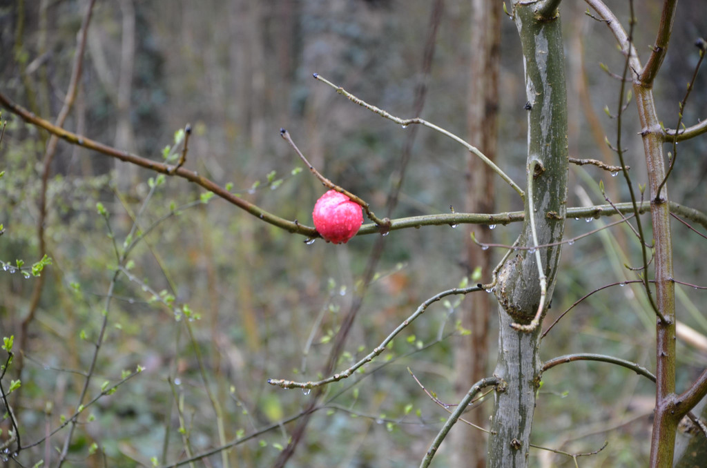 _DSC6120.JPG