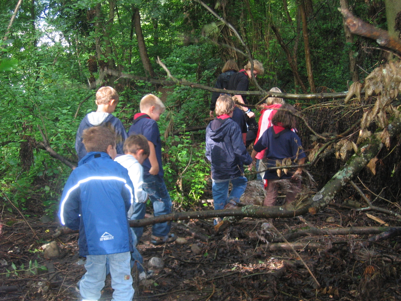 IMG_1462_JPG-1274222579