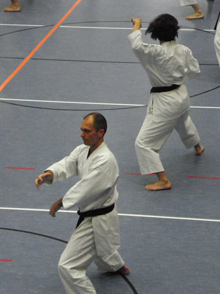 101_3603_jpg-1274224801