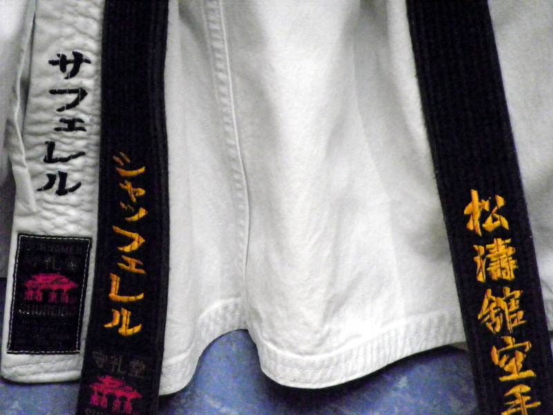 101_3666_jpg-1274225009