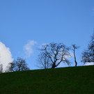 natur308.jpg