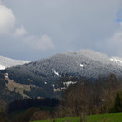 natur309.jpg