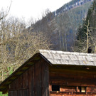 natur310.jpg
