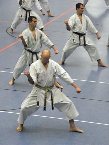 101_3560_jpg-1274225095