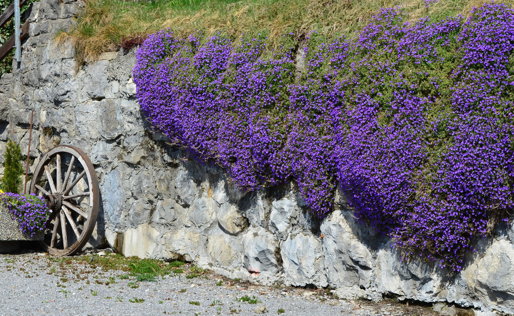 natur303.jpg