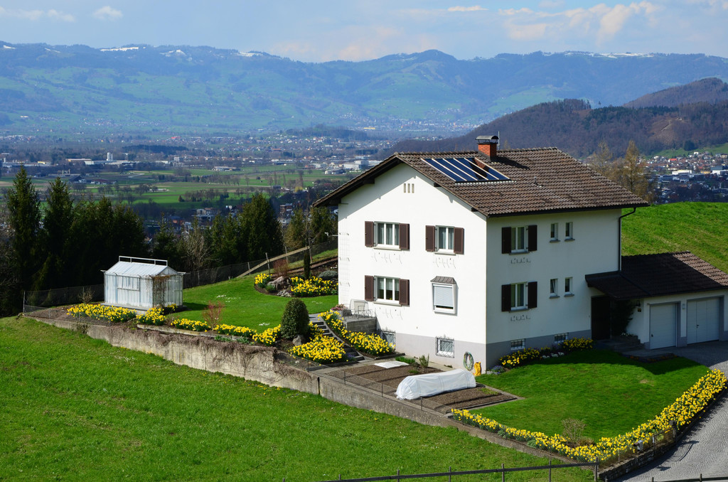 natur313.jpg