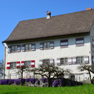 natur314.jpg