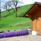 natur315.jpg