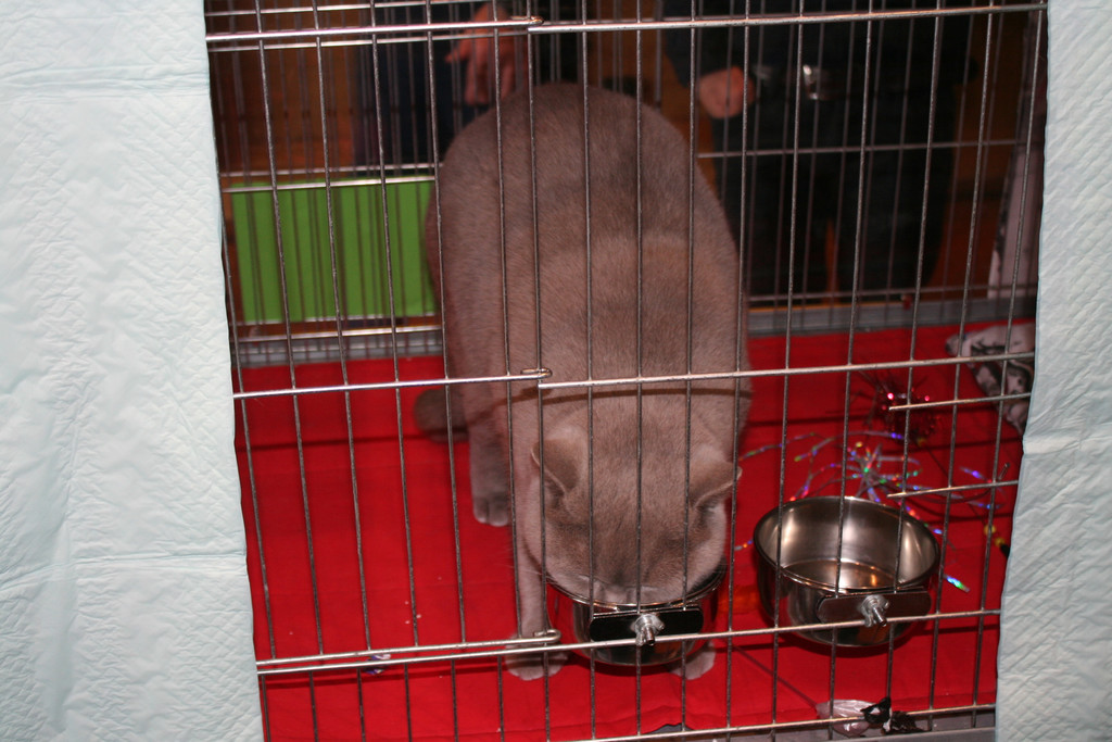 IMG_1322.JPG