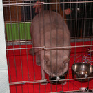 IMG_1322.JPG