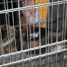 IMG_1329.JPG