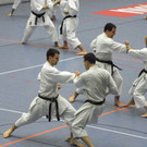 Internationaler Shotokan Karate Lehrgang