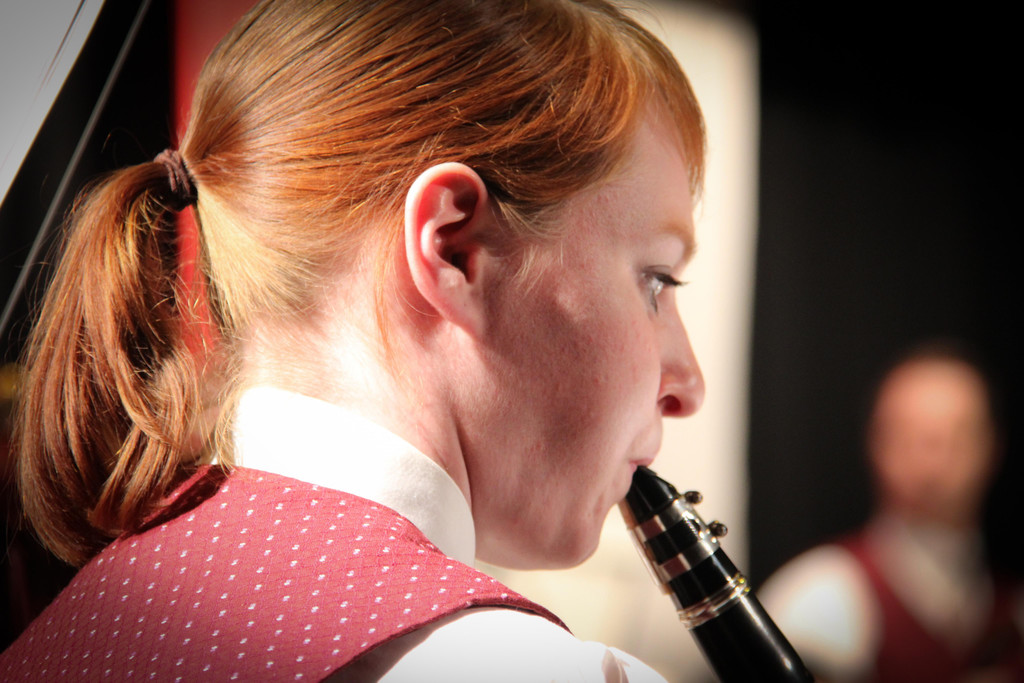 Osterkonzert 2015-8466.jpg