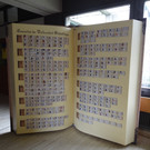 Riesen-Lesebuch der VS Schenldingen.JPG