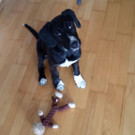 Mehr Fotos von Happy