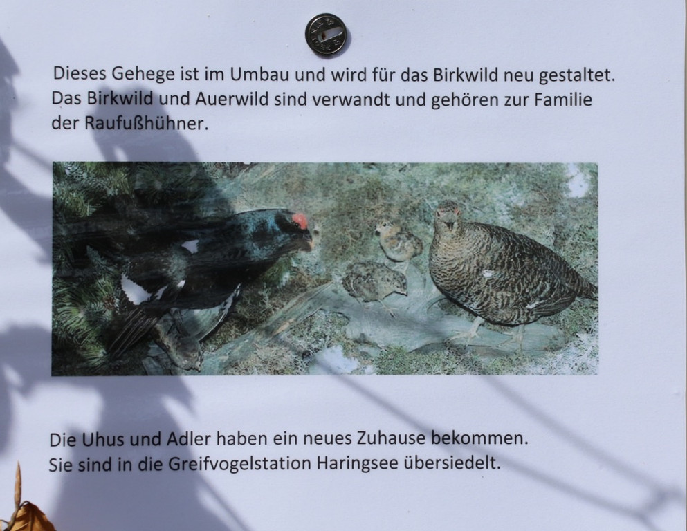 KOE_Wilkdpark im April 7.jpg