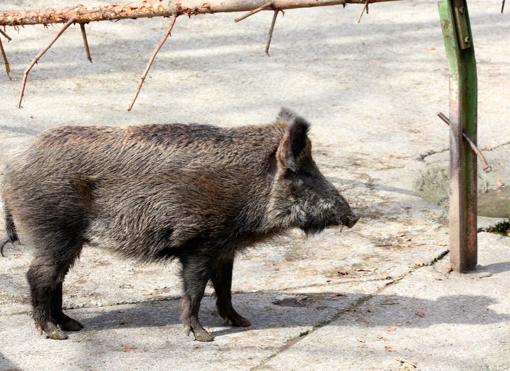 KOE_Wilkdpark im April 13.jpg
