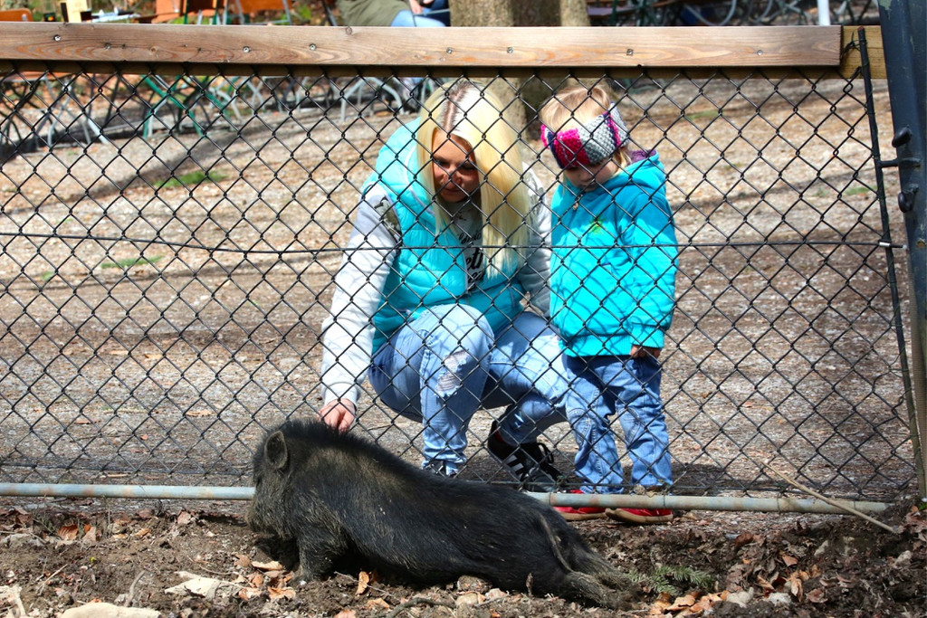 KOE_Wilkdpark im April 14.jpg