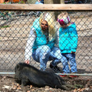 KOE_Wilkdpark im April 14.jpg