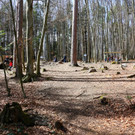 KOE_Wilkdpark im April 16.jpg