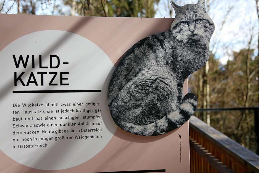 KOE_Wilkdpark im April 19.jpg
