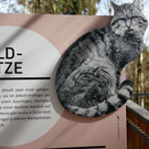 KOE_Wilkdpark im April 19.jpg
