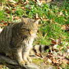 KOE_Wilkdpark im April 20.jpg