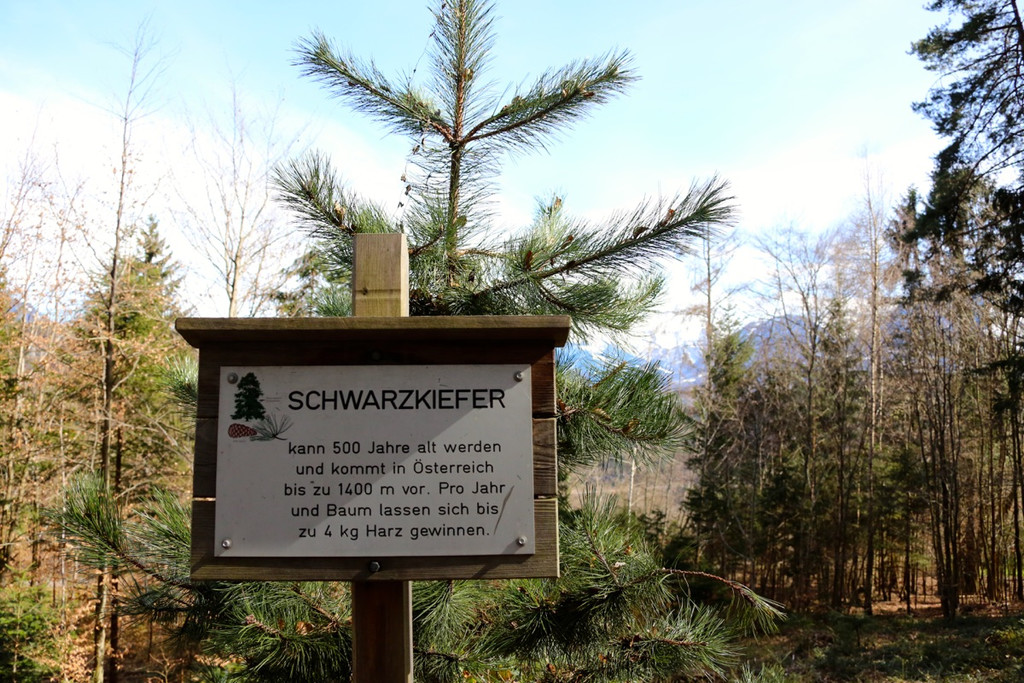 KOE_Wilkdpark im April 24.jpg