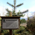 KOE_Wilkdpark im April 24.jpg