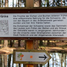 KOE_Wilkdpark im April 26.jpg