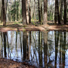 KOE_Wilkdpark im April 27.jpg