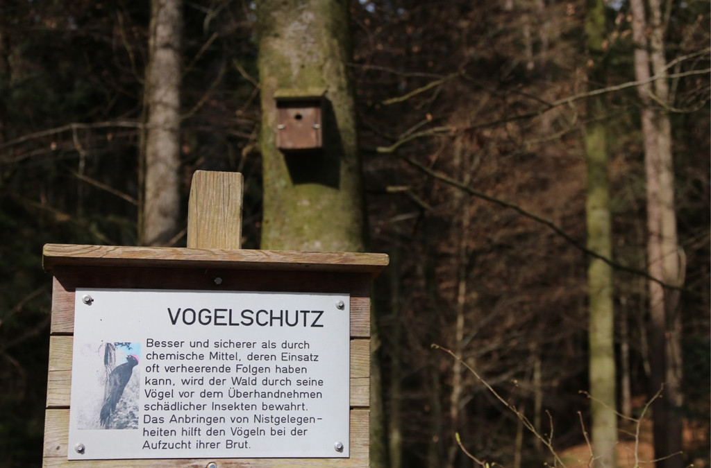 KOE_Wilkdpark im April 28.jpg