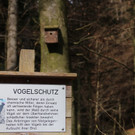 KOE_Wilkdpark im April 28.jpg