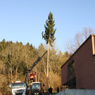 Wahl BGM B__rgermeisterbaum Simma 07-04-2015 _1_.JPG