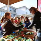 IMG_7643.JPG