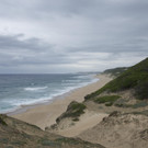 _DSC3553.jpg