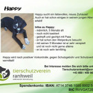 happy.jpg