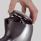 braun4.jpg
