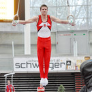Matthias Schwab Ringe.JPG