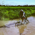 IMG_7524.jpg