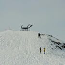 DSC_0153 _2_ _Copy_.JPG