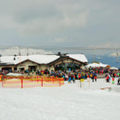 DSC_0234 _2_ _Copy_.JPG