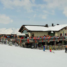 DSC_0250 _2_ _Copy_.JPG