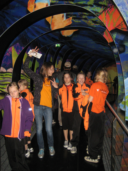 IMG_2101_JPG-1274270534