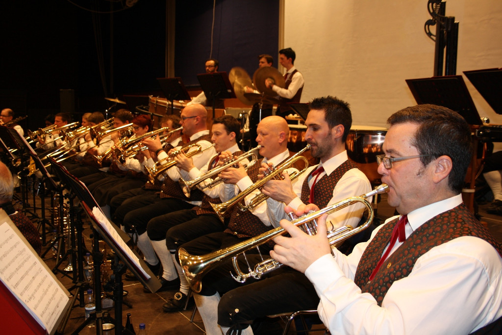 Musikverein Lochau KONZERT 2015 _25_.JPG