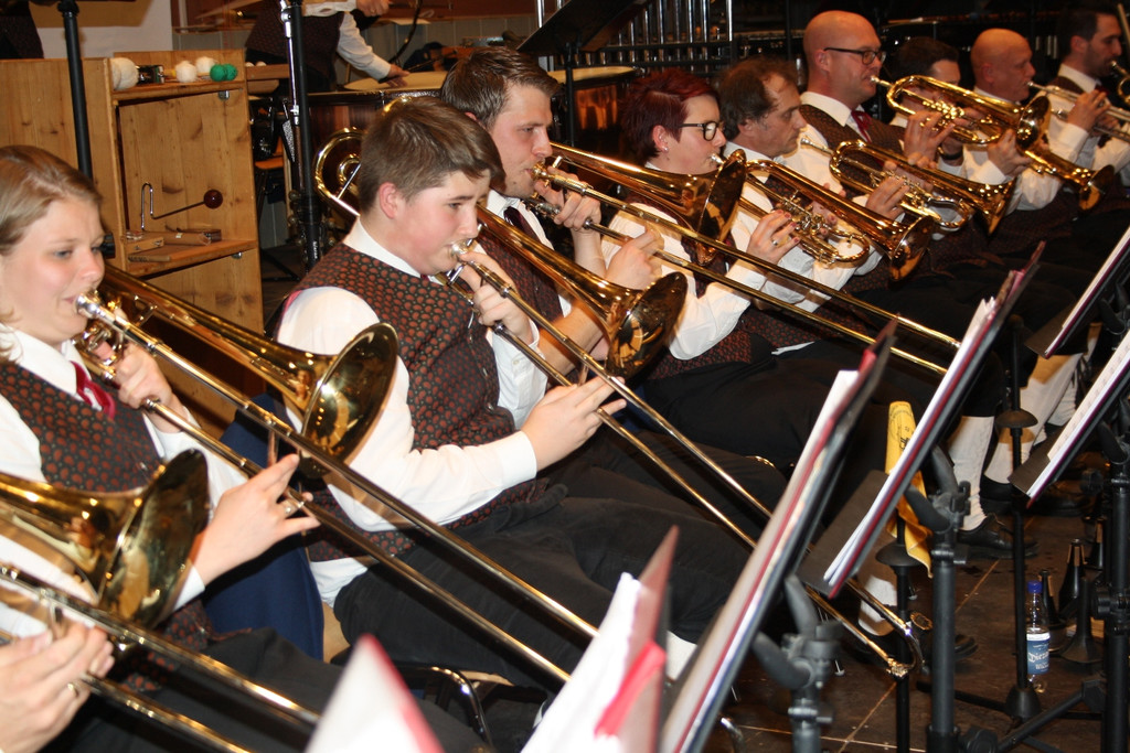 Musikverein Lochau KONZERT 2015 _6_.JPG