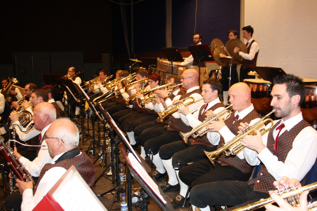Musikverein Lochau KONZERT 2015 _26_.JPG