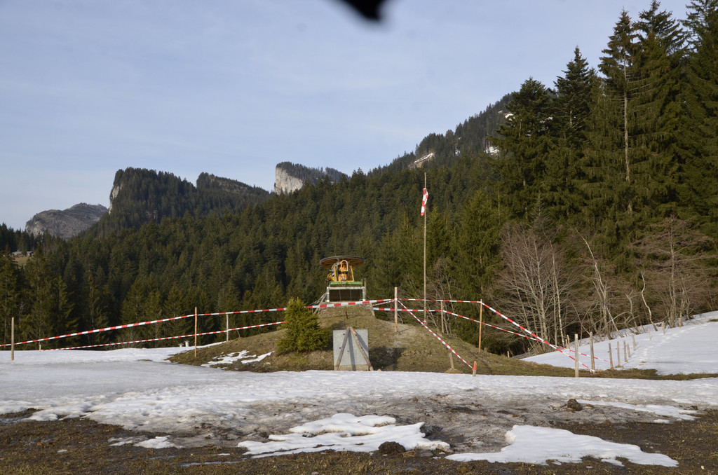 _DSC8013.JPG