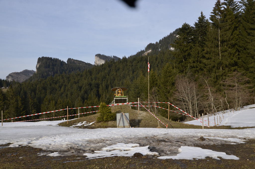 _DSC8014.JPG